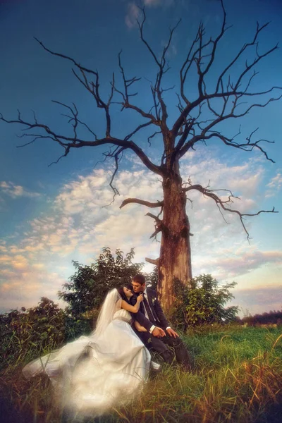 Bride and groom sit under the naked autumn tree — Stock Photo, Image