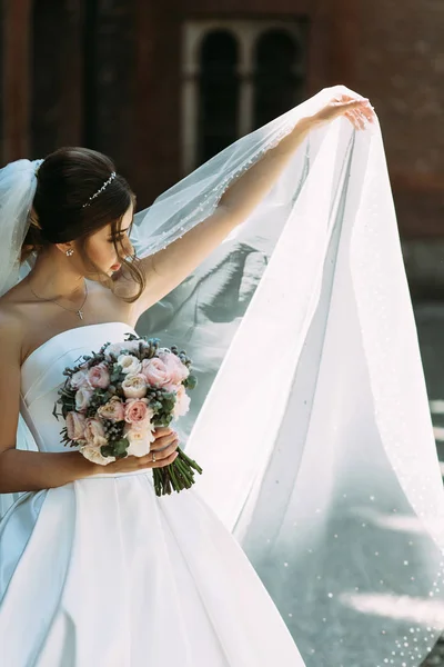 Bela noiva no longo véu nupcial — Fotografia de Stock