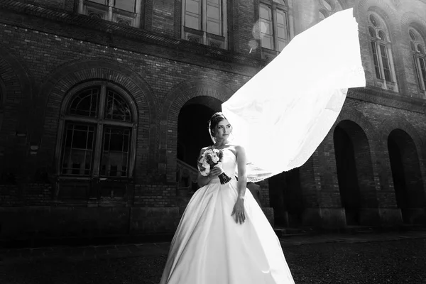 Schwarz-Weiß-Porträt der wunderschönen Braut — Stockfoto