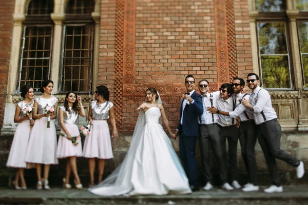 Jong koppel met de bruidsmeisjes en groomsmen — Stockfoto