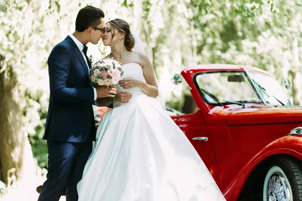 Young just married couple in the sunny day — Stock Photo, Image