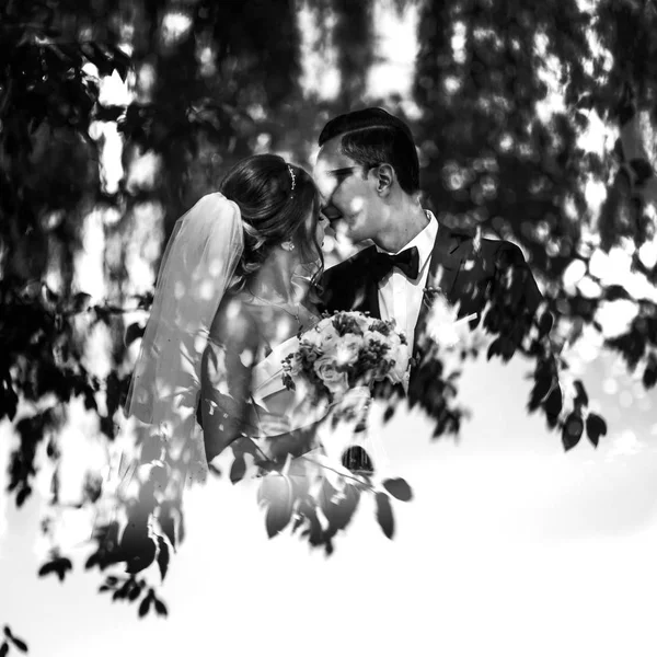 Reflexão em preto e branco do casal — Fotografia de Stock