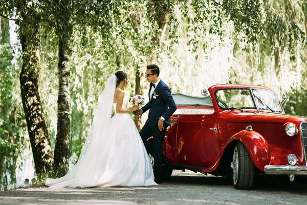 Casal elegante sob a árvore no dia do casamento — Fotografia de Stock