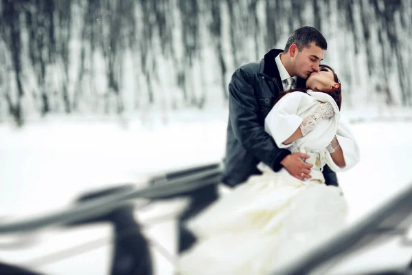 Ženich líbá nevěstu v bílém kožichu ji držel v náručí — Stock fotografie