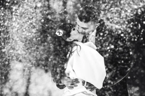 A wedding couple kisses tender in a snow flurry — Stock Photo, Image