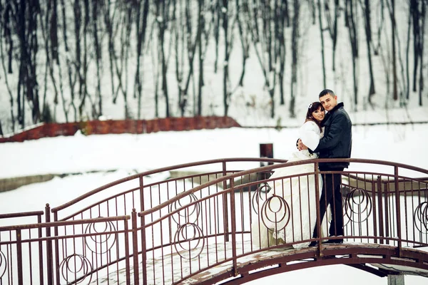 Jonggehuwden vormen op de brug over een overdekte met sneeuw lake — Stockfoto