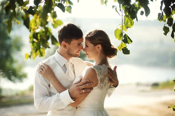 Las novias abrazándose en el parque — Foto de Stock