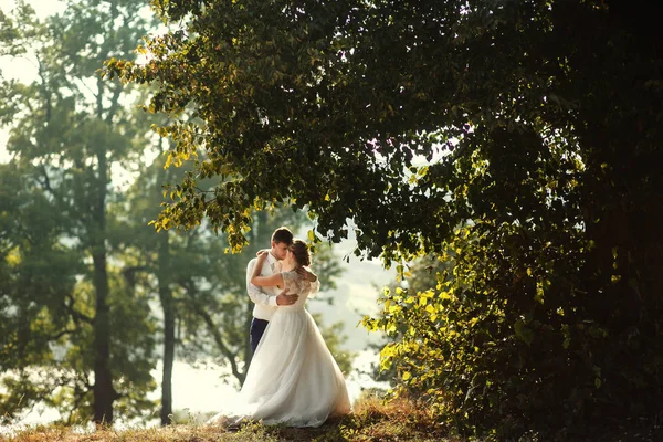 De bruiden omarmen in het park — Stockfoto