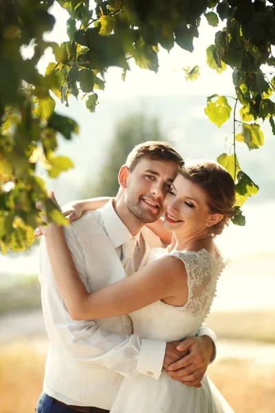 La pareja más feliz en el amor —  Fotos de Stock