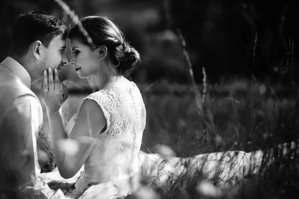 The brides sitting on the grass — Stock Photo, Image