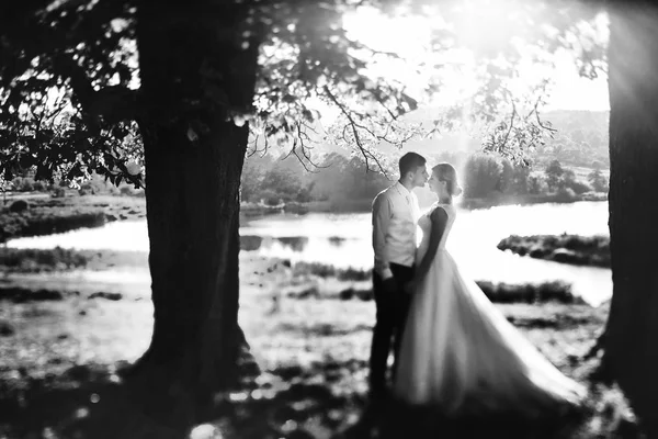 Les fiancées tendres se tiennent près du lac — Photo