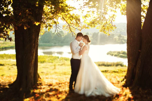 As noivas ternura na cerimônia de casamento — Fotografia de Stock