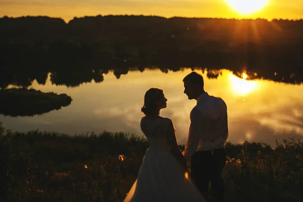 The lovely  brides hold hands  near lake — Stock Photo, Image