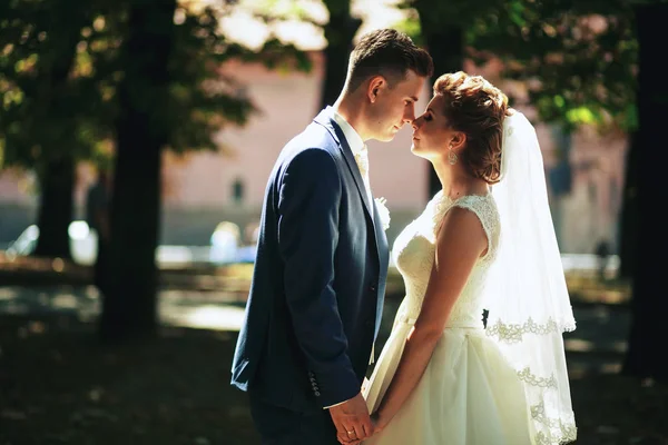 Pareja enamorada cogida de la mano en el parque — Foto de Stock