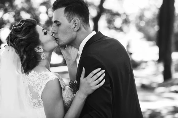 The lovely couple in love — Stock Photo, Image