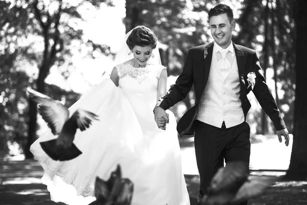 Casal apaixonado andando ao longo do parque — Fotografia de Stock