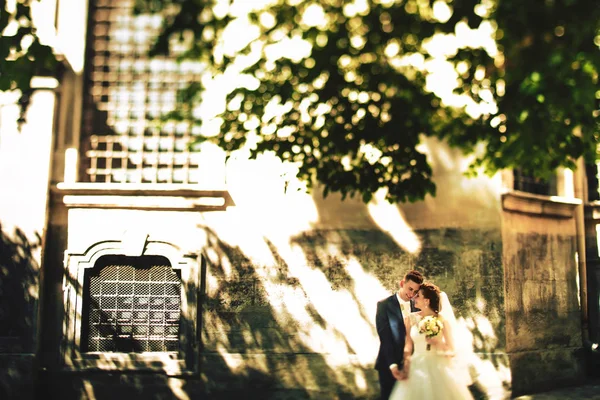 結婚式のエレガントな花嫁 — ストック写真