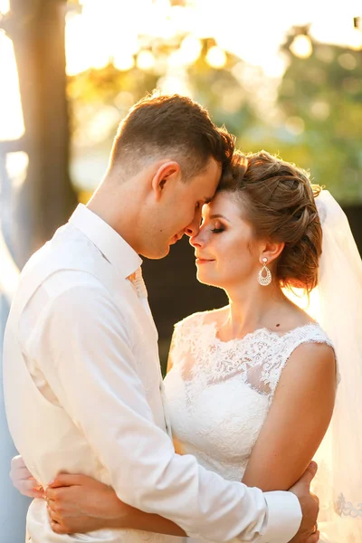 O lindo casal apaixonado — Fotografia de Stock