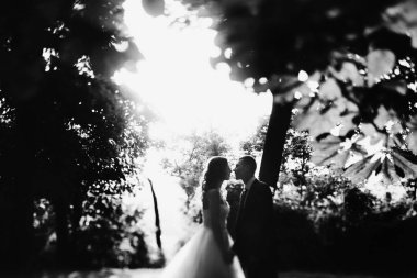 Sadece evli çift ağaçların güneş ışığı altında arasında stand 