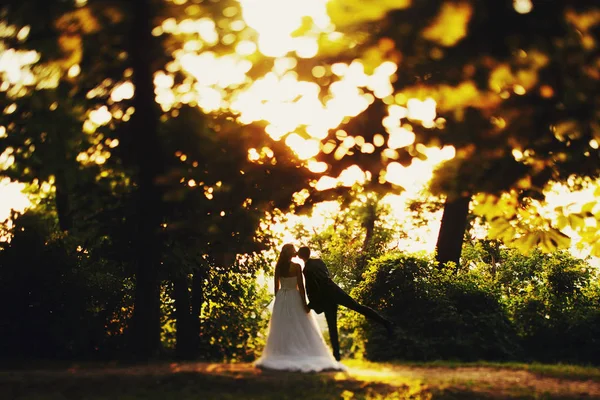 Sposo bacia una sposa sotto gli alberi lucenti — Foto Stock