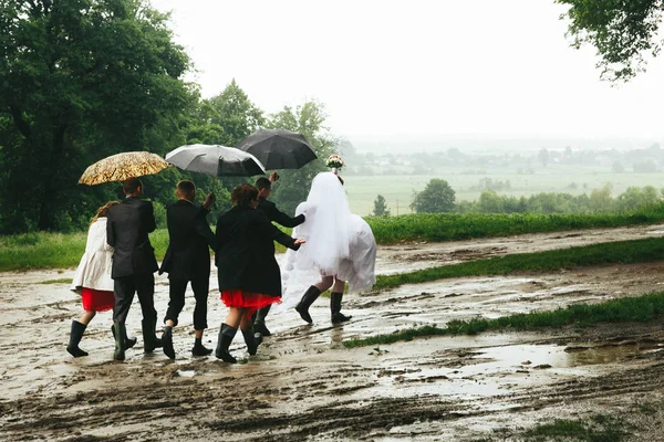 Jonggehuwden lopen samen met vrienden onder de paraplu's in een regenachtige — Stockfoto