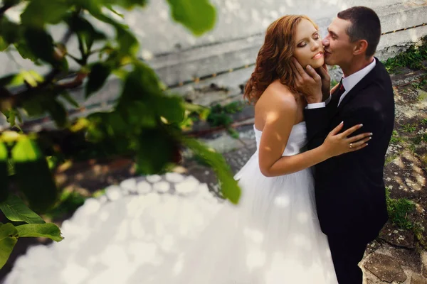 Bräutigam küsst Braut zart die Wange, während sie in einem alten — Stockfoto