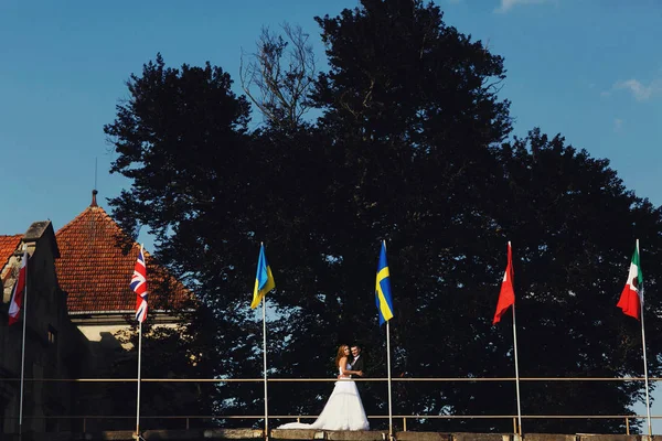 Yeni evliler parkta farklı ülke bayrakları arasında stand — Stok fotoğraf