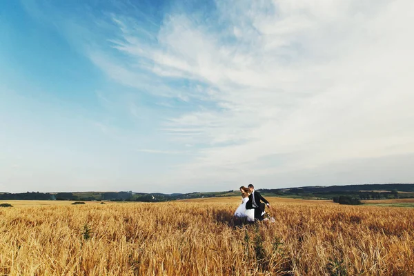 Um casal de casamentos corre entre o trigo sob um céu azul — Fotografia de Stock