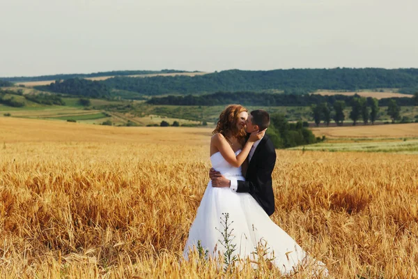 Braut küsst Bräutigam, während er sie auf dem goldenen Feld umarmt — Stockfoto