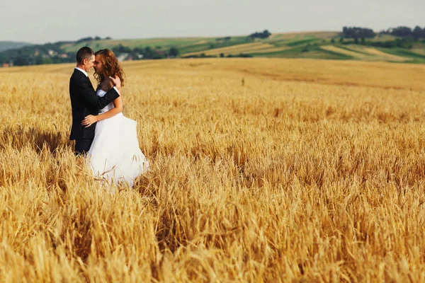 Un couple de mariage s'étreint quelque part sur le champ d'or — Photo