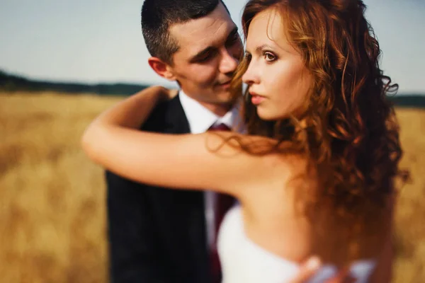 Bride looks gorgeous being huged by a groom among the wheat — Stock Photo, Image