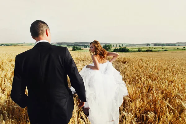 La novia huye de un prometido que cruza un campo de oro —  Fotos de Stock