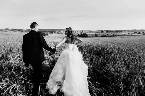 Noiva segura a mão do noivo andando com ele através do campo — Fotografia de Stock