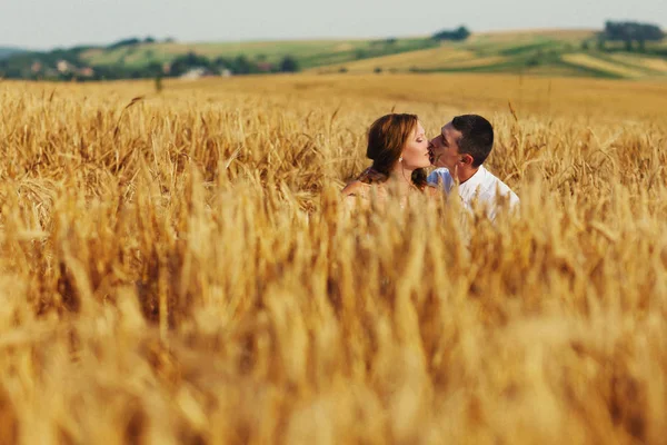 Una vista sobre las cabezas besadas de una pareja sentada entre el trigo — Foto de Stock