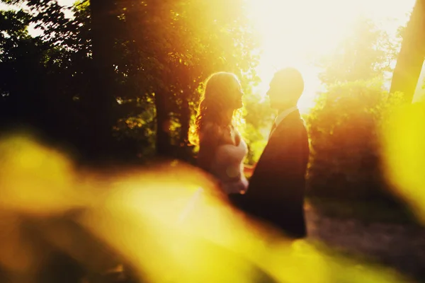 Couple talk in the park in the rays of sunset — Stock Photo, Image