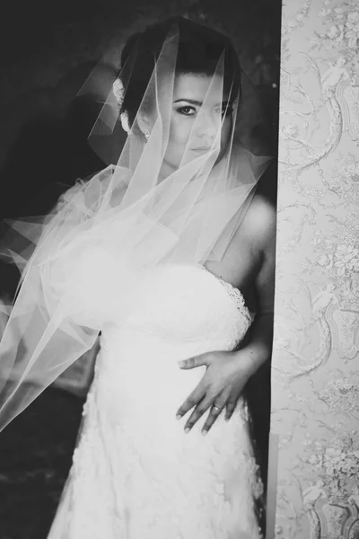 Bride seems fabulous looking through a veil — Stock Photo, Image