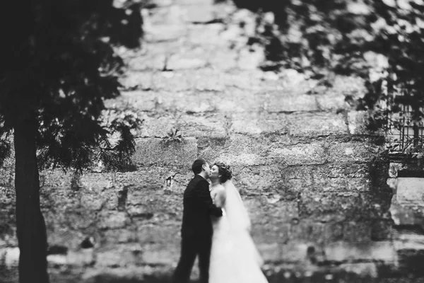 Acabo de casarme beso tiernamente de pie detrás de una pared de piedra — Foto de Stock