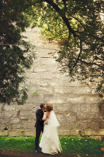 Groom kisses a bride standing under a big tree behind a stone wa — Stock Photo, Image