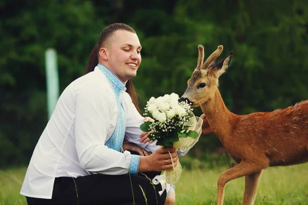 사슴을 결혼식 꽃다발을 먹으려고 하면 — 스톡 사진