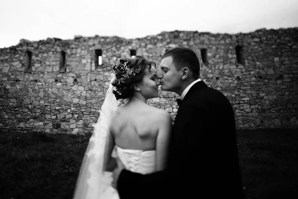 Γαμπρός φιλιά της νύφης μύτη στέκεται στο μπροστινό μέρος έναν παλαιό τοίχο — Φωτογραφία Αρχείου