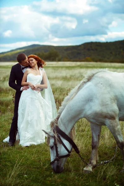 Feliz boda pareja pose en un campo en algún lugar de la montaña — Foto de Stock