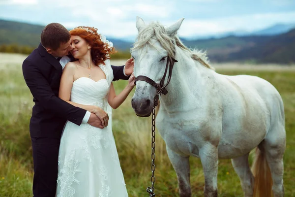 Novio abraza a una novia de pie detrás de un caballo blanco — Foto de Stock