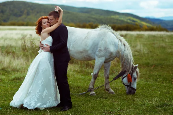 Recién casados abrazos de pie detrás de un caballo en el campo en algún lugar de — Foto de Stock