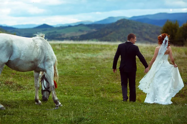 Novia y novio caminan por la colina con un caballo blanco junto a ellos — Foto de Stock