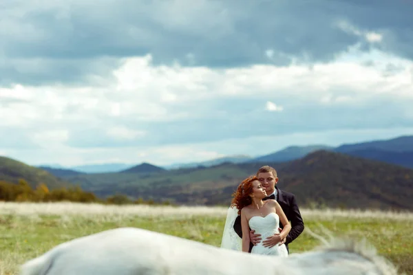 Una vista sobre la espalda del caballo en una pareja de boda inclinada a cada oth — Foto de Stock