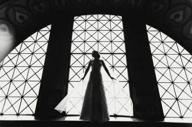 Bir rüzgar gelen ışıkla aydınlatılmış hassas gelinin siluet