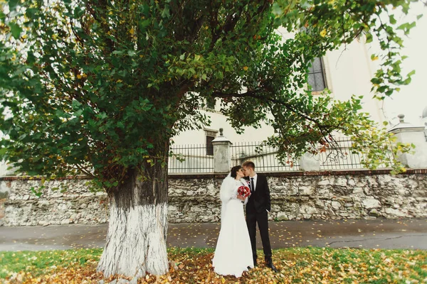 Um casal de casamento beija sob folhas caídas — Fotografia de Stock