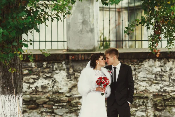 Novia y novio de pie en un parque detrás y viejo muro de piedra — Foto de Stock