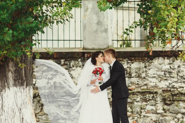 El viento sopla el velo de la novia mientras el novio la besa —  Fotos de Stock