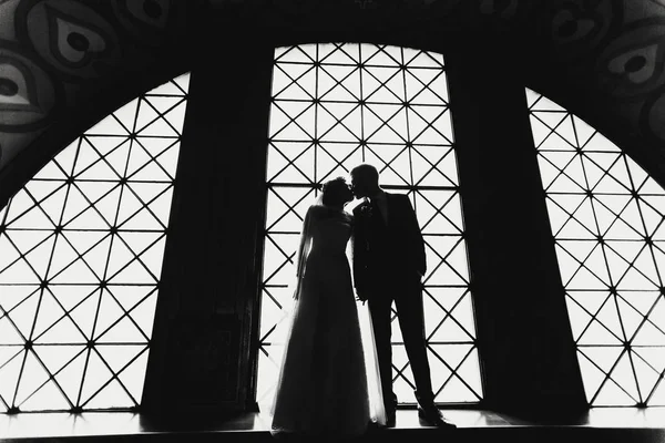 Les silhouettes de baisers de jeunes mariés debout devant un — Photo